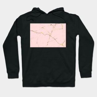 Pink and gold marble background Hoodie